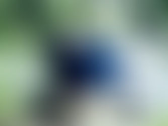 <strong>Italia, qui non nasce più nessuno</strong>