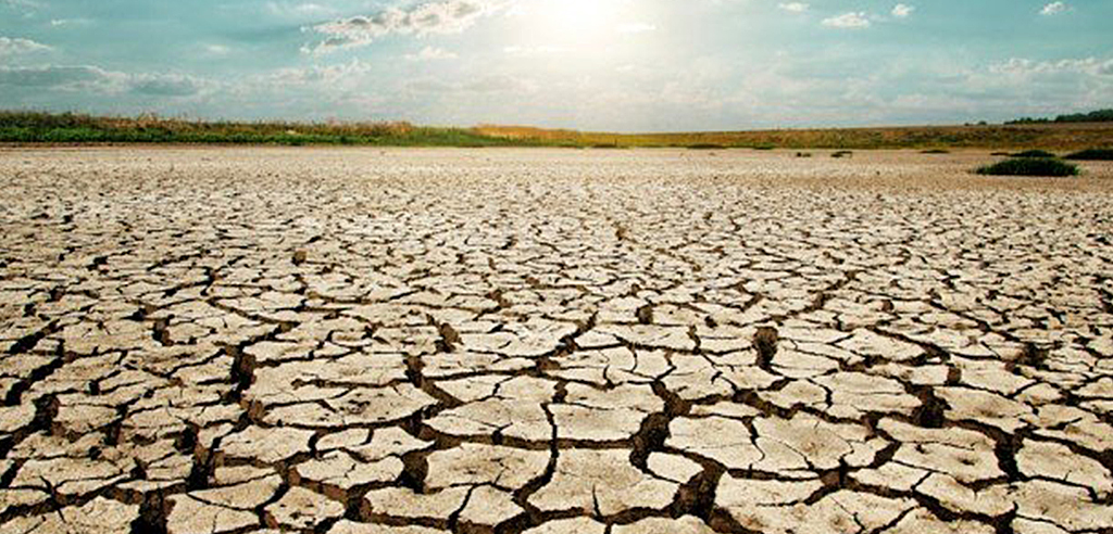 domenicale-articolo-02