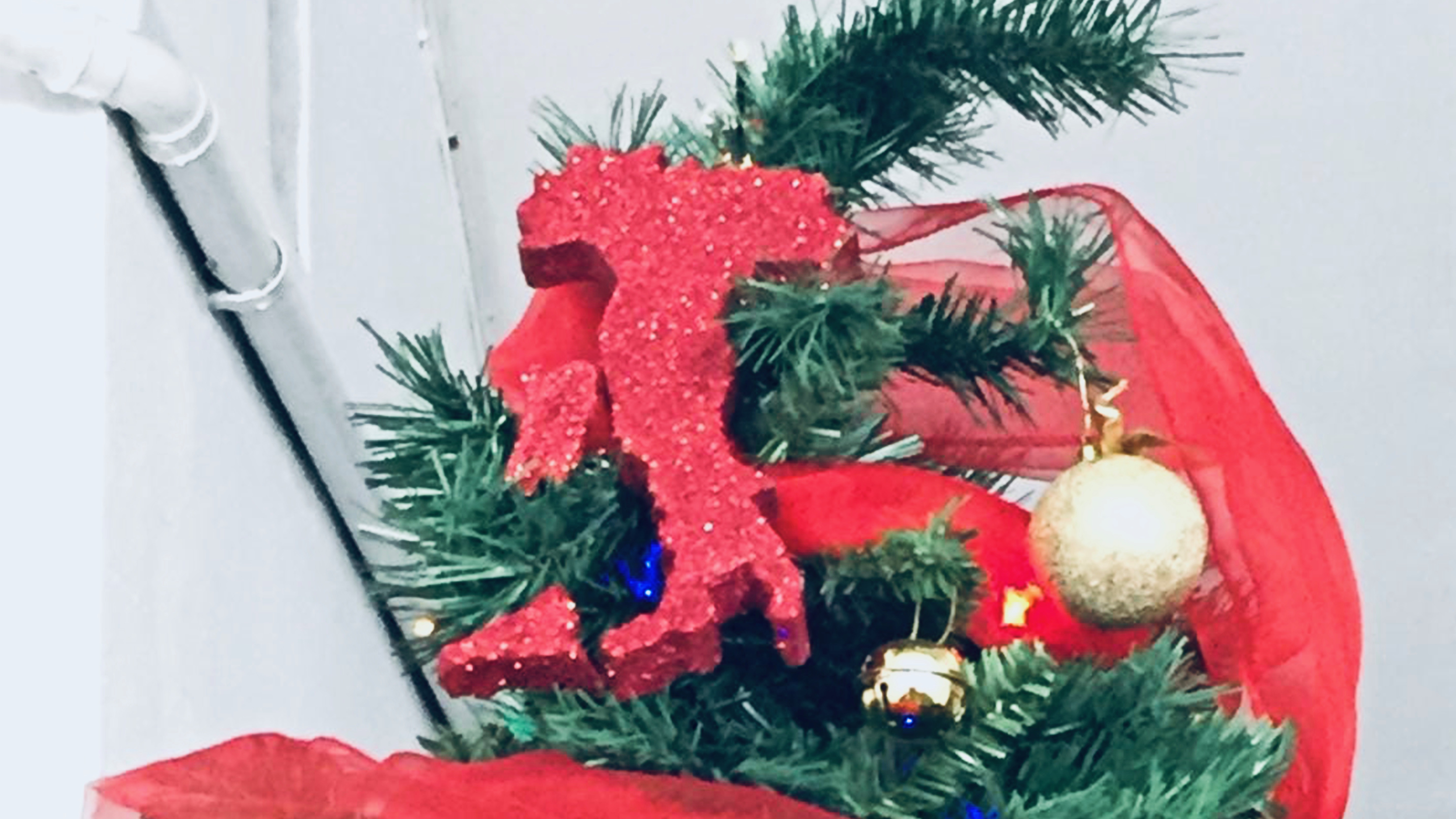 COPERTINA albero 01 - 1