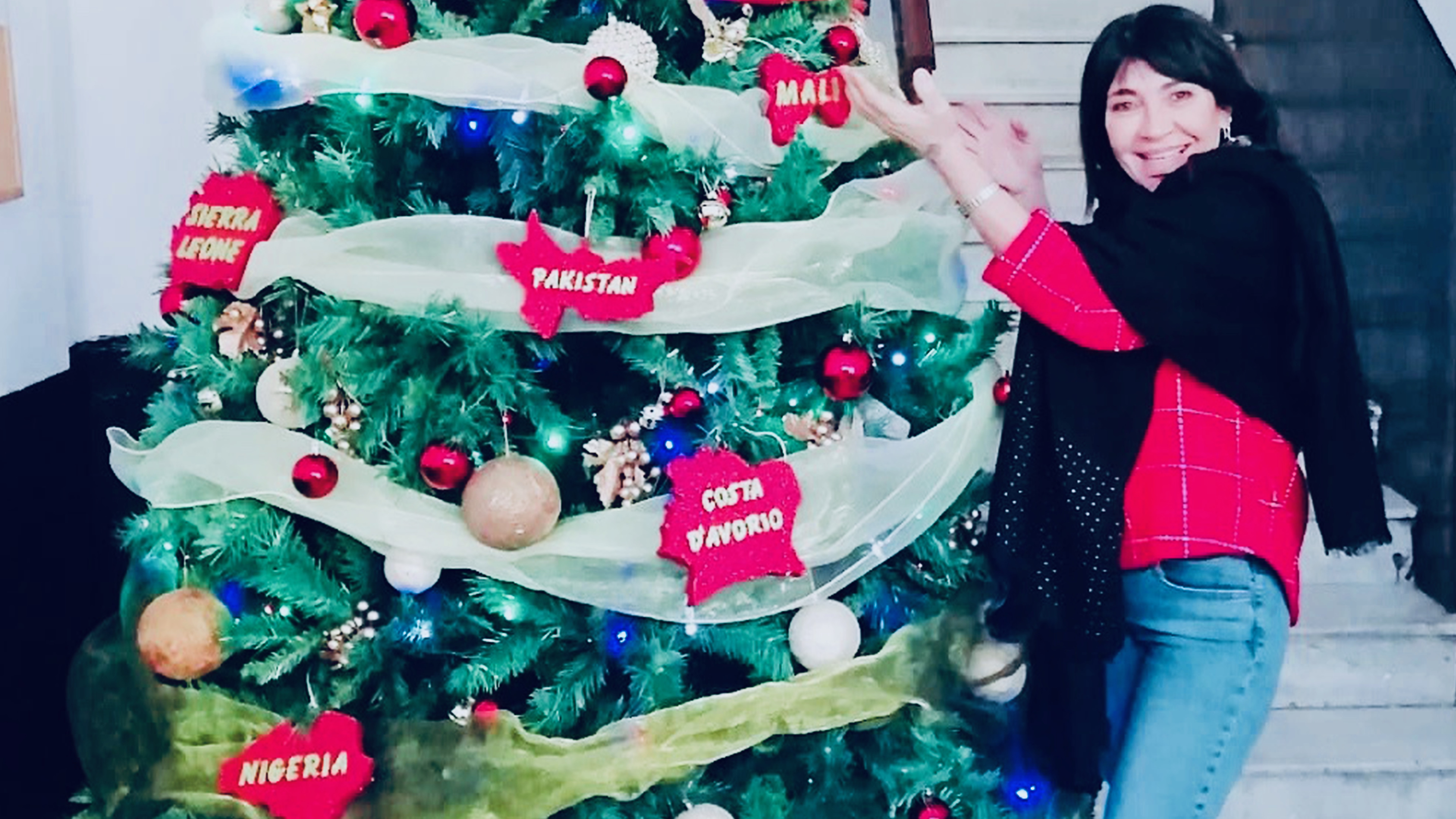 COPERTINA albero 02 - 1