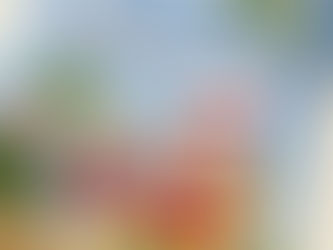 Union Road Christmas Catalogue