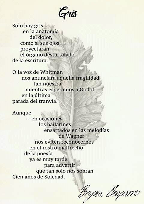 Gris - por Brayan Chaparro