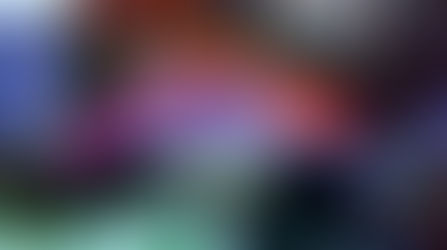 Everything You Need To Know About Marine Or Saltwater Fish