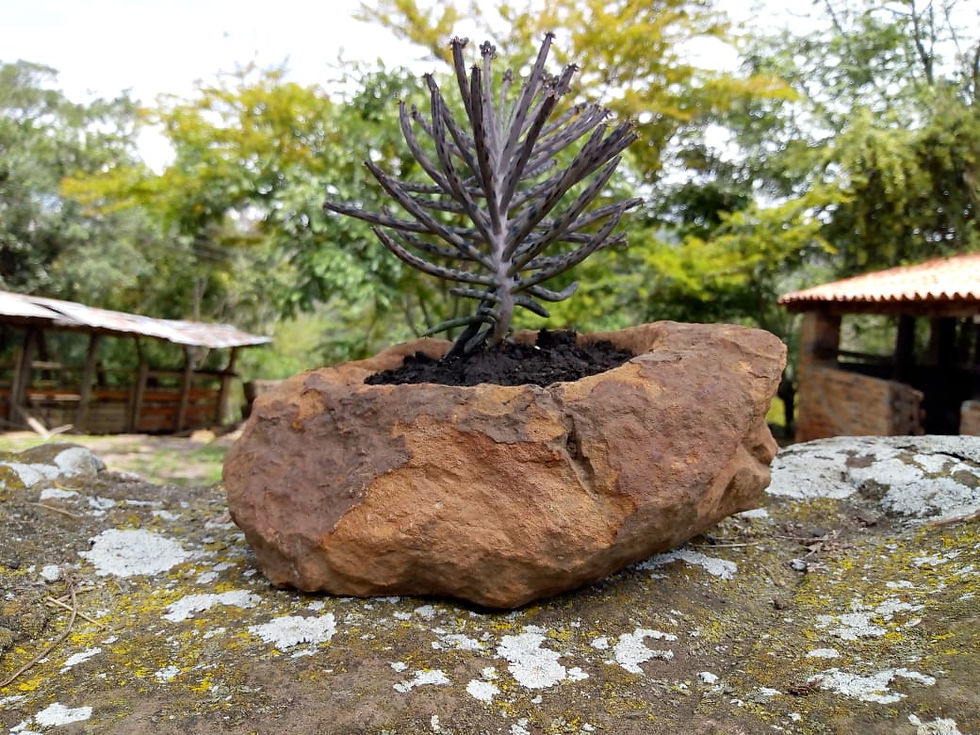 Miniatura: Materas Pulidas y Rústicas