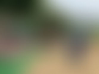 避難訓練をしました
