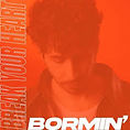 Bormin - Break your heart (1).jpg