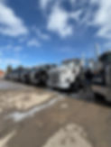 IMG_2297.jpeg