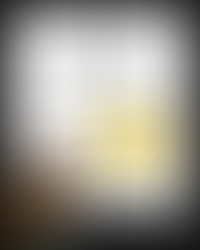 Small business owner confused about who owns his website domain and marketing tools.