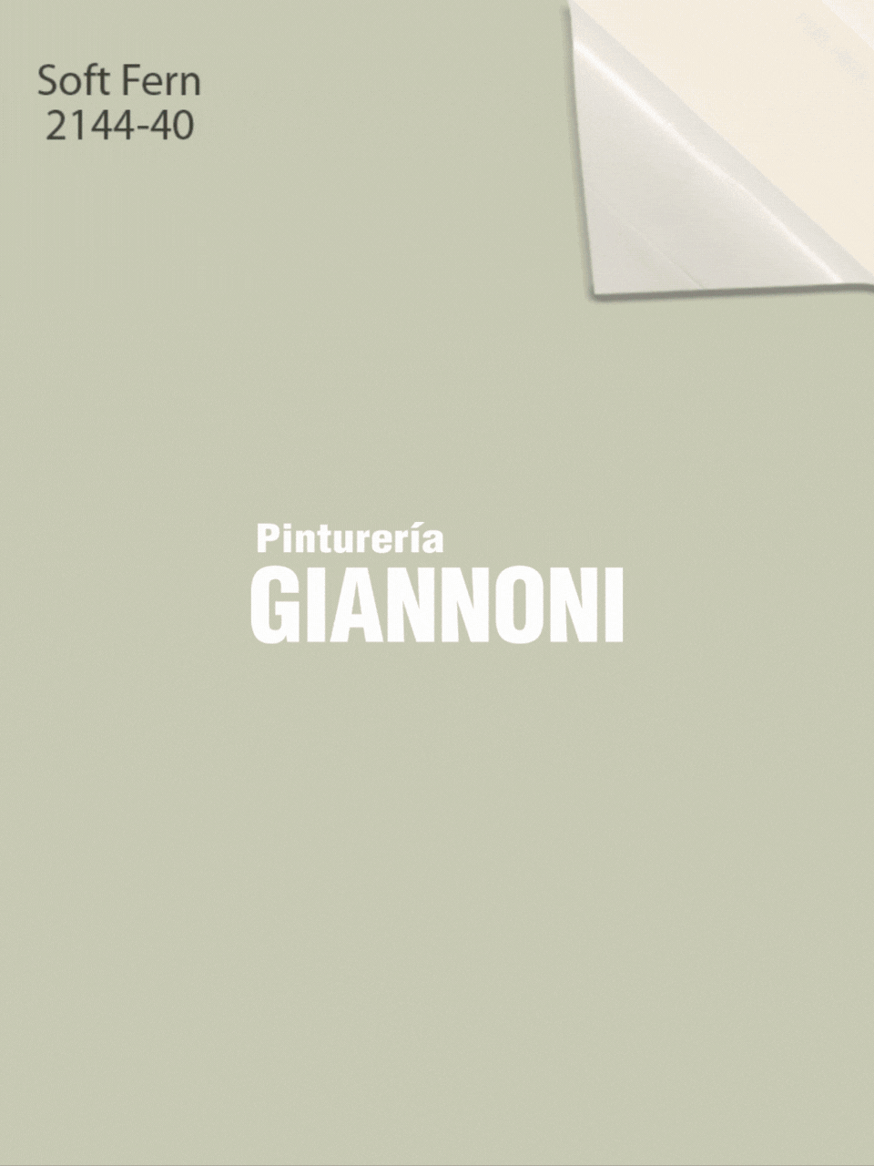 Trabajo de marketing, diseño y comunicación  para Pinturería Giannoni.