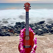 "Ukulele Lessons in Kailua Kona," "Guitar Instruction on the Big Island," "Bass Guitar Classes in Hawaii," "Live Music Perfor
