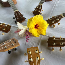 "Ukulele Lessons in Kailua Kona," "Guitar Instruction on the Big Island," "Bass Guitar Classes in Hawaii," "Live Music Performances for Events," "Wedding Entertainment in Kailua Kona," "Vow Renewal Musician Services," "Corporate Event Music Performer," "Private Party Musician in Hawaii," "Event Planner-Friendly Musician," "Music Instruction in Kailua Kona," "Hawaiian Music Lessons," "Professional Music Teacher in Hawaii," "Live Music for Special Occasions," "Big Island Wedding Musician," "Kailua Kona Event Entertainment," "Ukulele and Guitar Instructor," "Bass Guitar Lessons in Hawaii," "Customized Music Instruction," "Live Music for Big Island Weddings," "Experienced Music Performer," "Event Entertainment Specialist," "Private Party Music Performance," "Musician for Wedding Planners," "Big Island Music Instruction," "Hawaii's Premier Music Teacher," "Live Music for Hawaii Events," "Wedding Entertainment Services," "Vow Renewal Musician in Kailua Kona," "Corporate Event Musician on Big Island," "Private Party Musician in Kailua Kona," "Acoustic Guitar Lessons," "Electric Bass Instruction," "Ukulele Workshops," "Live Music for Corporate Functions," "Event Entertainment in Hawaii," "Experienced Guitar Teacher," "Professional Ukulele Instructor," "Wedding Music Planner," "Hawaii Event Entertainment," "Bass Guitar Techniques," "Live Music for Private Parties," "Interactive Ukulele Classes," "Corporate Event Planner in Kailua Kona," "Bass Guitar Scales," "Hawaiian Ukulele Songs," "Wedding and Event Entertainment," "Guitar Chords and Strumming," "Live Performance Musician," "Party Entertainment in Hawaii," "Group Ukulele Lessons," "Corporate Event Coordinator," "Advanced Guitar Techniques," "Beginner Ukulele Classes," "Live Music for Beach Weddings," "Event Planning Services," "Bass Guitar Fingerpicking," "Ukulele Music Theory," "Hawaii Wedding Planner," "Professional Event Musician," "Private Ukulele Lessons," "Corporate Event Organizer," "Guitar Scales and Solos," "Live Music for Destination Weddings," "Ukulele Fingerpicking Techniques," "Bass Guitar Theory," "Hawaiian Music Ensemble," "Wedding and Event Coordination," "Event Planner in Kailua Kona," "Guitar and Ukulele Duets," "Live Music for Outdoor Events," "Private Party Planning," "Ukulele Performance Workshops," "Corporate Event Specialist," "Bass Guitar Workshops," "Hawaii Event Coordinator," "Wedding Entertainment Coordination," "Live Music for Team Building," "Ukulele Jam Sessions," "Hawaiian Music Workshops," "Event Planner in Hawaii," "Guitar and Ukulele Festivals," "Live Music for Festive Occasions," "Private Party Organizer," "Ukulele Concerts," "Hawaiian Music Concerts," "Event Coordinator in Kailua Kona," "Guitar and Ukulele Performance," "Live Music for Intimate Gatherings," "Private Event Planner," "Ukulele Recitals," "Hawaiian Music Recitals," "Corporate Event Coordinator in Kailua Kona," "Guitar and Ukulele Community," "Live Music for Special Celebrations," "Private Event Coordinator," "Ukulele Club Activities," "Hawaiian Music Club," "Event Planning Expert in Hawaii," "Guitar and Ukulele Enthusiasts," "Live Music for Unforgettable Moments," "Private Event Specialist," "Ukulele Blog Posts," "Hawaiian Music Forum," "Event Coordination in Hawaii," "Guitar and Ukulele Reviews," "Live Music for Memorable Gatherings," "Private Event Organizer in Kailua Kona," "Ukulele Forum Discussions," "Hawaiian Musician Reviews," "Event Planner Extraordinaire," "Guitar and Ukulele Buying Guide," "Live Music for Exceptional Occasions," "Private Event Planner in Hawaii," "Ukulele Accessories Guide," "Hawaiian Music Instrument Advice," "Event Coordinator in Kailua Kona," "Guitar and Ukulele Maintenance Tips," "Live Music for Unforgettable Experiences," "Private Event Coordinator in Hawaii," "Ukulele Care Tips," "Hawaiian Music Heritage," "Event Planning Excellence in Kailua Kona," "Guitar and Ukulele Songwriting," "Live Music Recording Services," "Private Event Planning Expert in Kailua Kona," "Ukulele Recording Studios," "Hawaiian Music Arrangement," "Event Coordinator in Hawaii," "Guitar and Ukulele Studio Sessions," "Live Music Sound Expertise," "Private Event Organizer in Kailua Kona," "Ukulele History Insights," "Hawaiian Music Culture," "Event Planning Mastery in Hawaii," "Guitar and Ukulele Player Profiles," "Live Music for Hawaiian Weddings," "Private Event Coordinator Extraordinaire," "Ukulele in Popular Music," "Hawaiian Music Traditions."