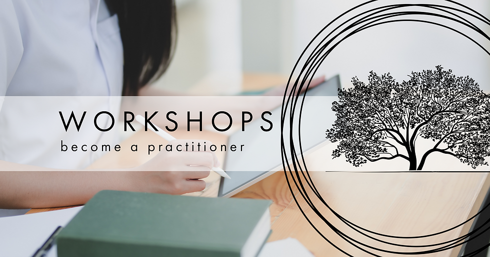 KIM-workshops-BANNER.png