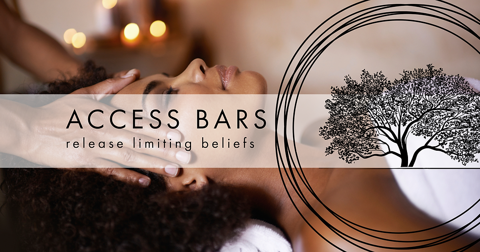 KIM-Bars-BANNER.png