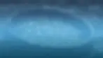 WHM jednodenni.webp