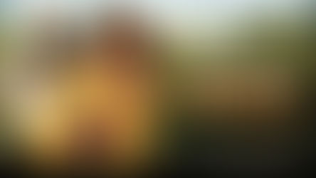 The Lost City (2022) 3D SBS