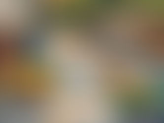 Bahçe Düzenlemesi İçin En İyi Yapı Malzemeleri