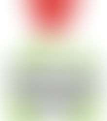 PARKINSON'S AWARENESS MONTH SPECIALS