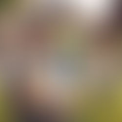 𝐓𝐡𝐞 𝐡𝐨𝐭, 𝐠𝐨𝐥𝐝𝐞𝐧 𝐬𝐚𝐦𝐨𝐬𝐚