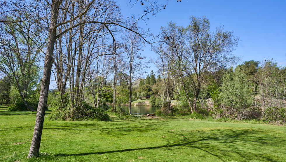 Wedding ceremony space