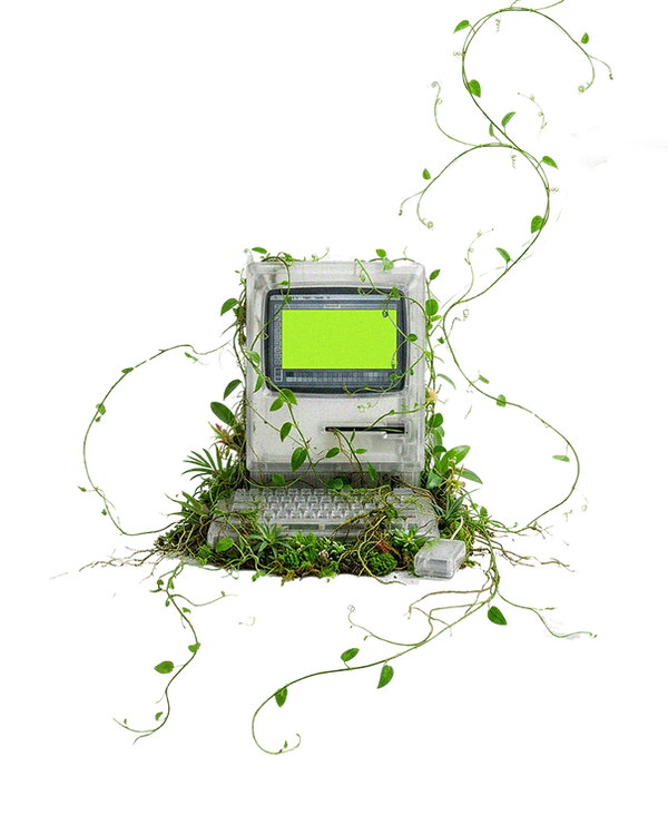 test.png