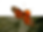 playtopia-poster-2_edited.png