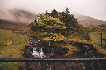Forest-island-of-Kunoy-Faroe-Islands (1).jpg