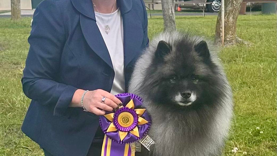 California Sierra Keeshond Club Specialty #3 - Conformation Results