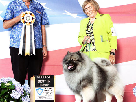 RBIS Lake Shore Kennel Club, Crown Point, IN