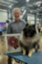 GCH CH CEDARHILLS-SHAMROCK WHEEL OF TIME AT DAIMLER