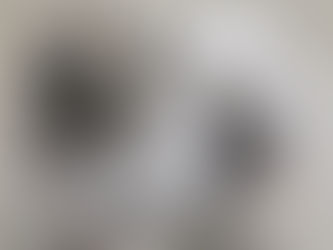 Buckeye Keeshond Club Specialty #2- Conformation Results