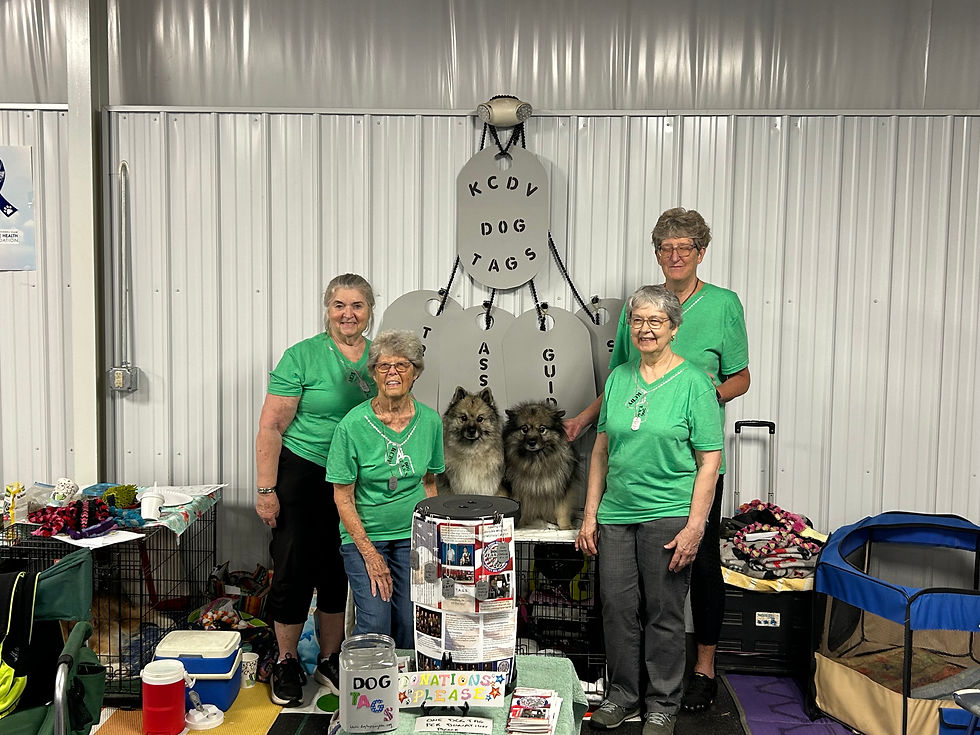Keeshond Agility Charity Challenge