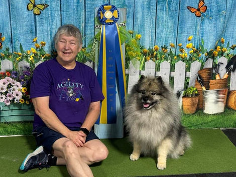 New Agility Grand Champion Lyra and Jean Munger!