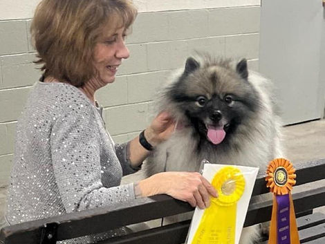 Heritage Trail Keeshond Club Specialty #2- Conformation Results