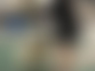 Mount Hood Keeshond Club Specialty #1- Conformation Results