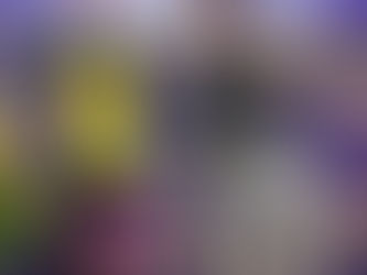 Westminster Dog Show 2024 - Keeshond Conformation Results