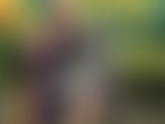 California Sierra Keeshond Club Specialty #2- Conformation Results