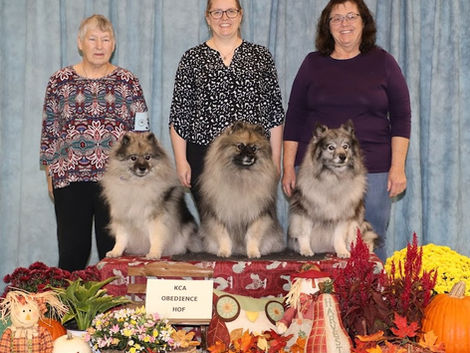 Obedience HOF Award Recognition