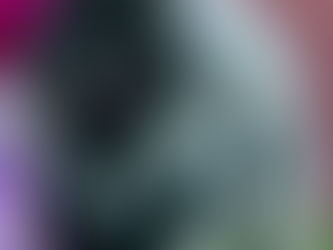 Westminster Kennel Club 2026 Results