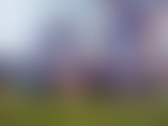 Spaniels & Milkmen News.