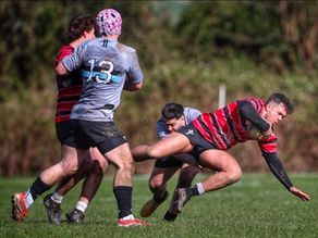 Spaniels Photos Vs Pontyclun.