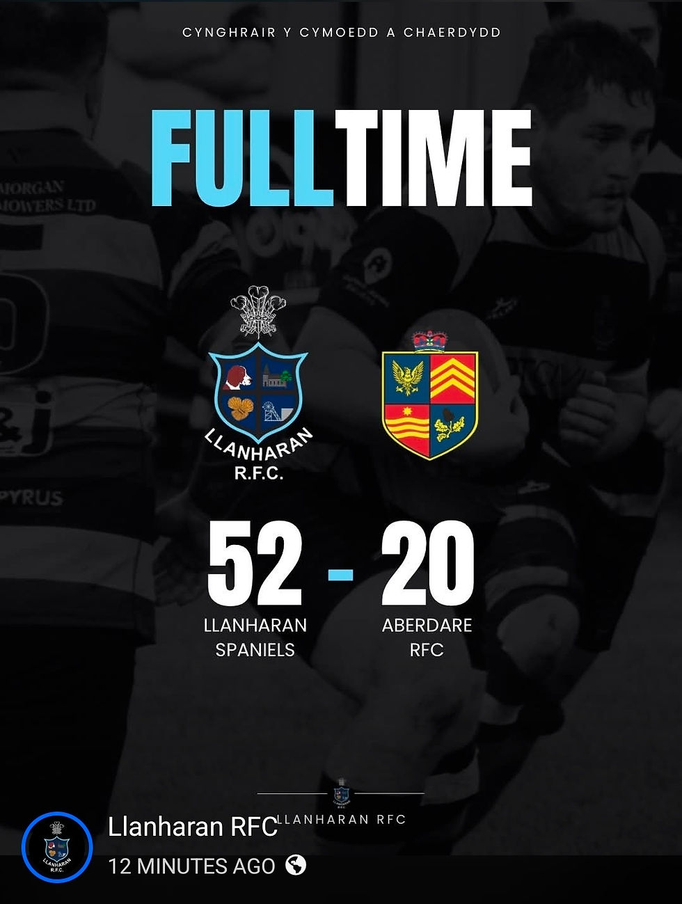Spaniels Win