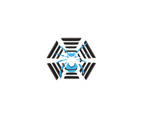 Spider Security Service (Pvt) Ltd company logo