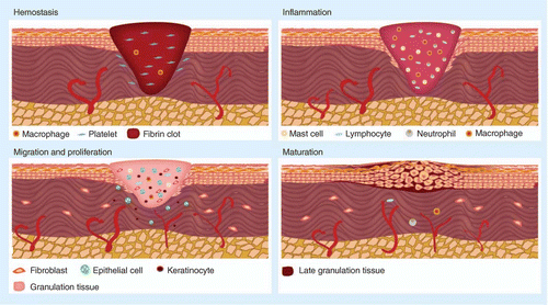 images_medium_figure2.gif