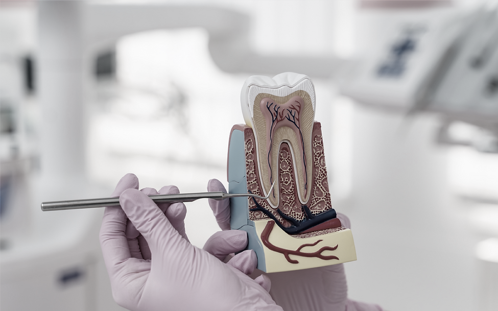 Endodontics.png