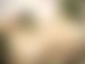 Haben Sie schon mal von Sulforaphan gehört?