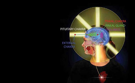 MASTER_GLANDULA-PINEAL-Y-CODIGOS-DE-LUZ.jpg