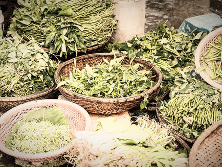 Kräuterpower für Hunde: Warum Kräuterbuttermilch so gesund ist