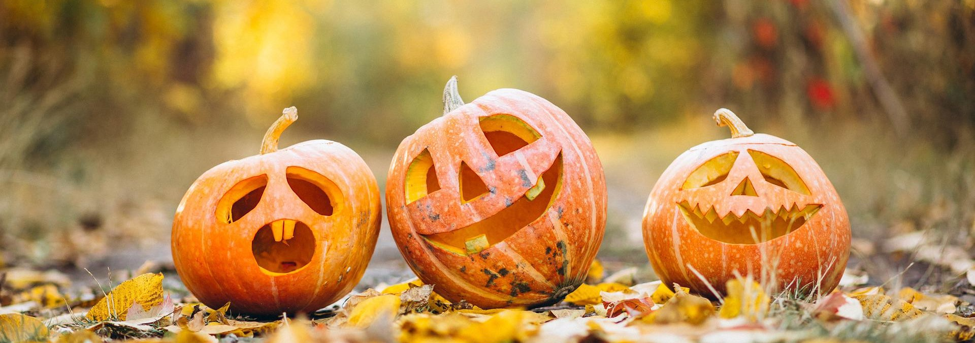 Halloween.webp