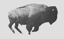 ezgif.com-gif-maker (13).gif