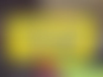 ペンドレイロウ（VBT） - エクササイズ紹介 -